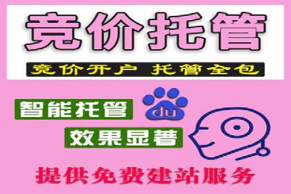 竞价推广代运营助力企业快速抢占市场份额